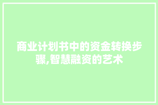 商业计划书中的资金转换步骤,智慧融资的艺术