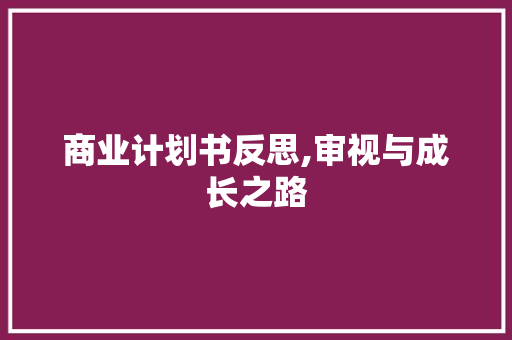 商业计划书反思,审视与成长之路