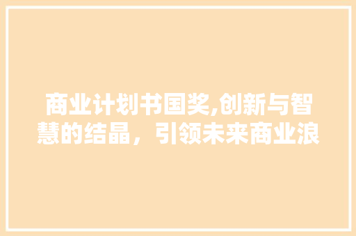 商业计划书国奖,创新与智慧的结晶，引领未来商业浪潮