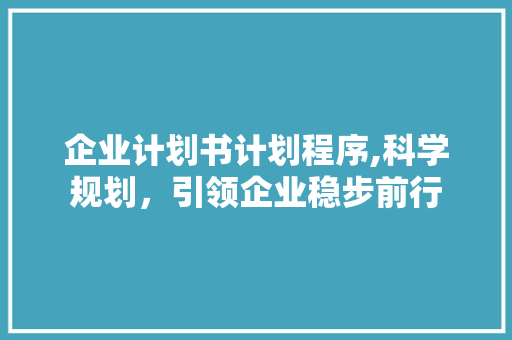 企业计划书计划程序,科学规划，引领企业稳步前行