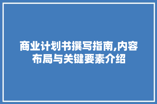 商业计划书撰写指南,内容布局与关键要素介绍