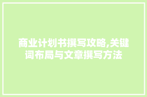 商业计划书撰写攻略,关键词布局与文章撰写方法