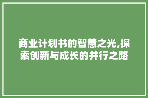 商业计划书的智慧之光,探索创新与成长的并行之路