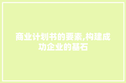 商业计划书的要素,构建成功企业的基石