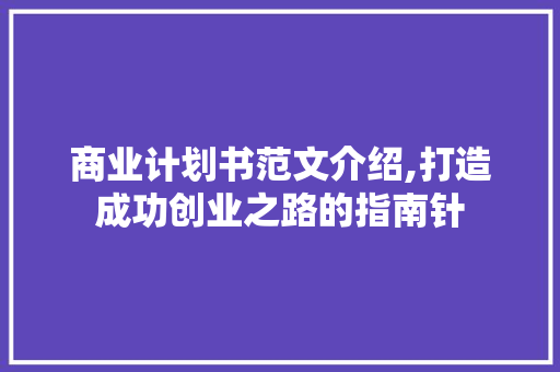 商业计划书范文介绍,打造成功创业之路的指南针
