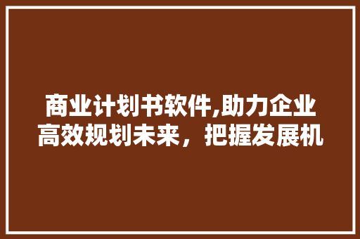 商业计划书软件,助力企业高效规划未来，把握发展机遇