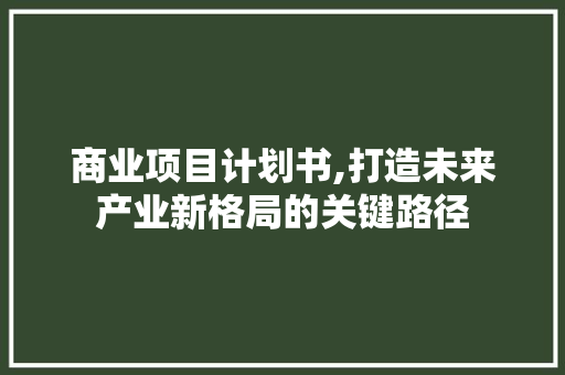 商业项目计划书,打造未来产业新格局的关键路径