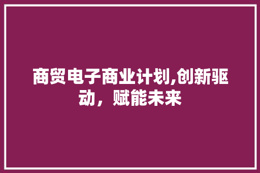 商贸电子商业计划,创新驱动，赋能未来