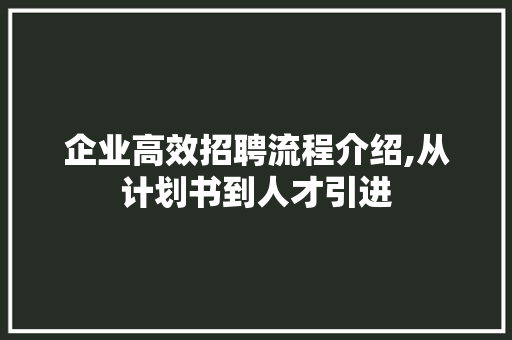 企业高效招聘流程介绍,从计划书到人才引进