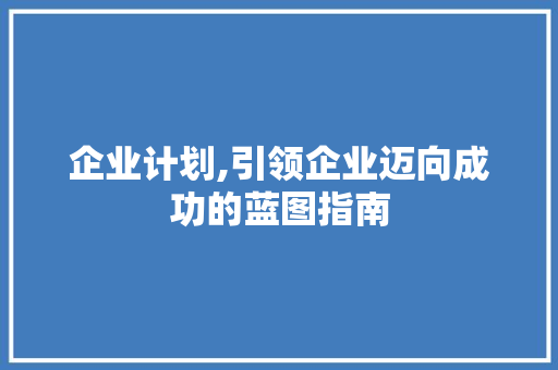 企业计划,引领企业迈向成功的蓝图指南