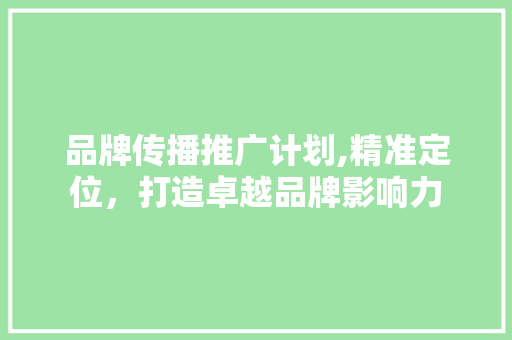 品牌传播推广计划,精准定位，打造卓越品牌影响力