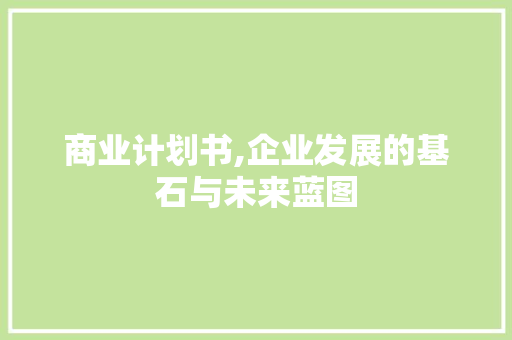 商业计划书,企业发展的基石与未来蓝图