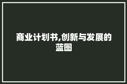 商业计划书,创新与发展的蓝图