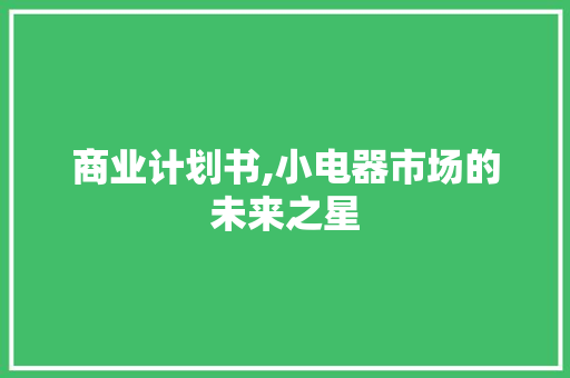 商业计划书,小电器市场的未来之星