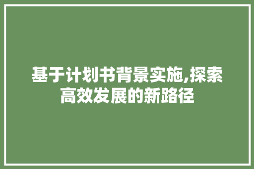 基于计划书背景实施,探索高效发展的新路径