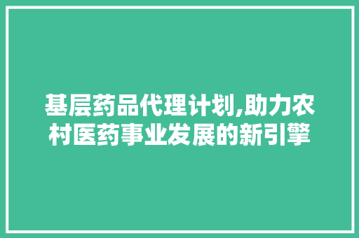 基层药品代理计划,助力农村医药事业发展的新引擎
