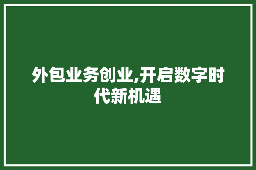 外包业务创业,开启数字时代新机遇