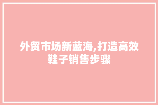 外贸市场新蓝海,打造高效鞋子销售步骤