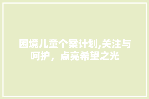 困境儿童个案计划,关注与呵护，点亮希望之光