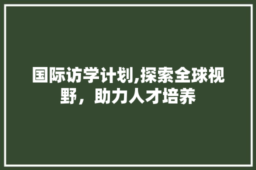 国际访学计划,探索全球视野，助力人才培养
