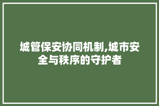 城管保安协同机制,城市安全与秩序的守护者