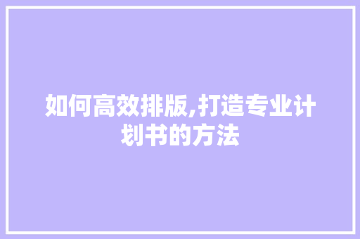 如何高效排版,打造专业计划书的方法