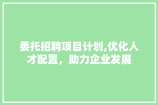 委托招聘项目计划,优化人才配置，助力企业发展