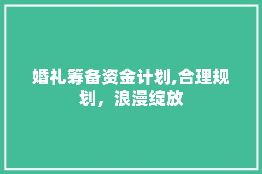 婚礼筹备资金计划,合理规划，浪漫绽放