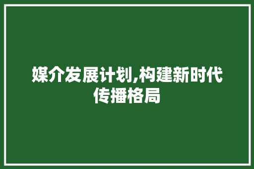 媒介发展计划,构建新时代传播格局