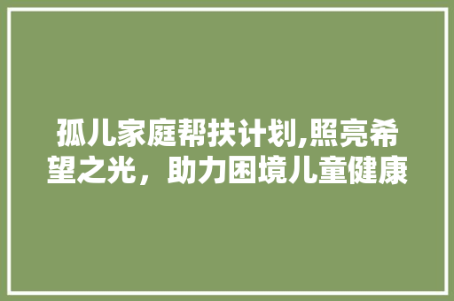 孤儿家庭帮扶计划,照亮希望之光，助力困境儿童健康成长