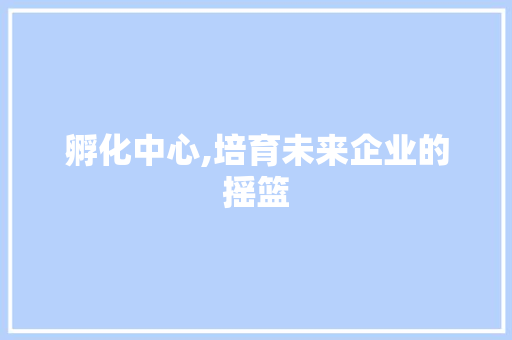 孵化中心,培育未来企业的摇篮