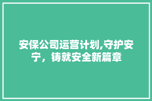 安保公司运营计划,守护安宁，铸就安全新篇章
