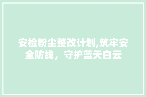 安检粉尘整改计划,筑牢安全防线，守护蓝天白云