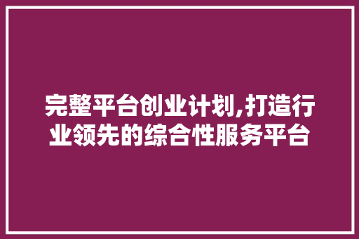 完整平台创业计划,打造行业领先的综合性服务平台