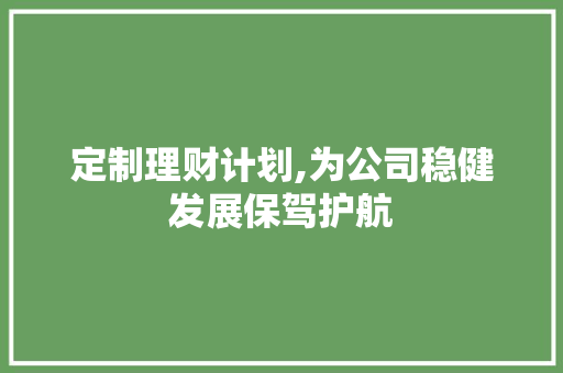 定制理财计划,为公司稳健发展保驾护航
