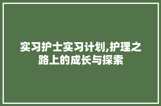 实习护士实习计划,护理之路上的成长与探索