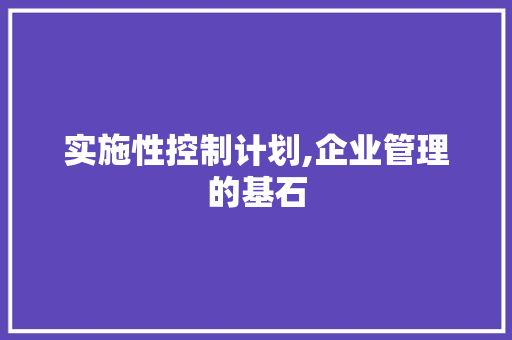 实施性控制计划,企业管理的基石