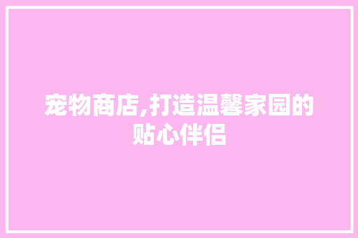 宠物商店,打造温馨家园的贴心伴侣