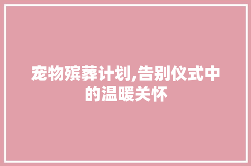 宠物殡葬计划,告别仪式中的温暖关怀