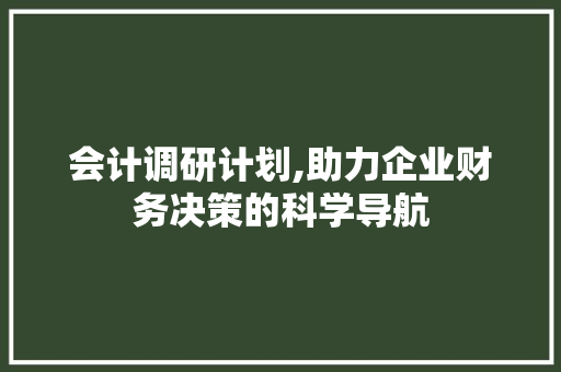 会计调研计划,助力企业财务决策的科学导航