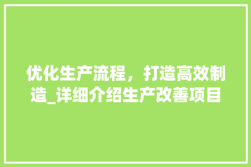优化生产流程，打造高效制造_详细介绍生产改善项目计划