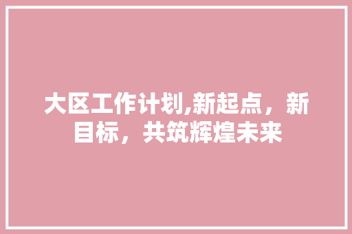 大区工作计划,新起点，新目标，共筑辉煌未来