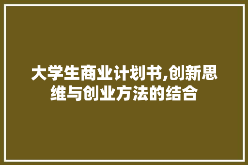 大学生商业计划书,创新思维与创业方法的结合