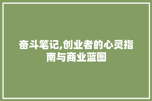 奋斗笔记,创业者的心灵指南与商业蓝图