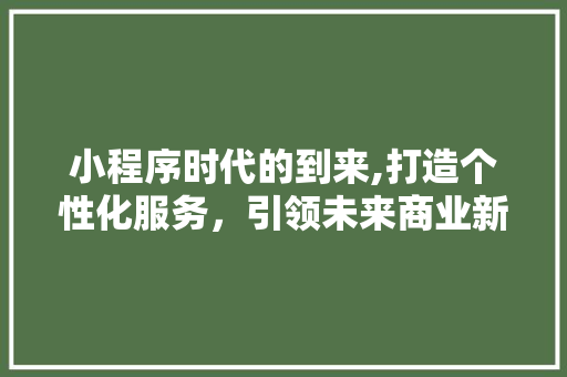小程序时代的到来,打造个性化服务，引领未来商业新潮流