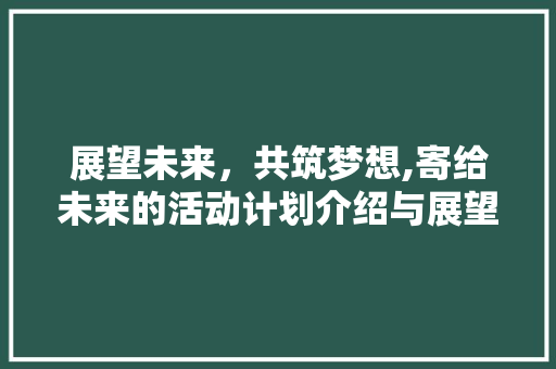 展望未来，共筑梦想,寄给未来的活动计划介绍与展望