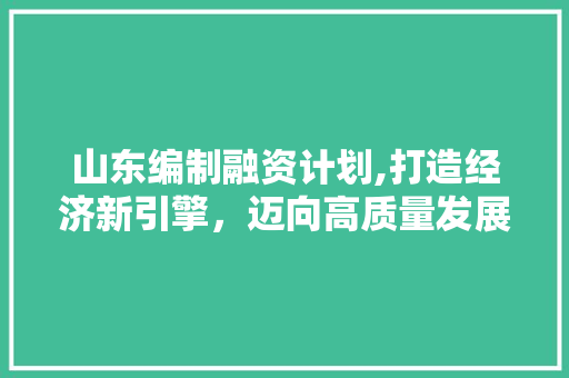 山东编制融资计划,打造经济新引擎，迈向高质量发展