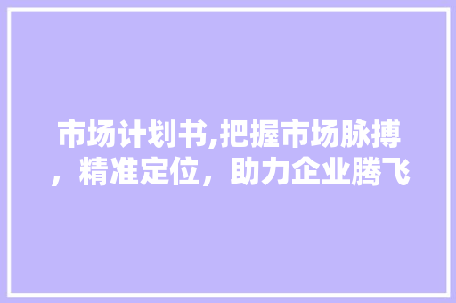 市场计划书,把握市场脉搏，精准定位，助力企业腾飞
