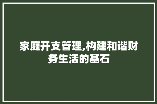 家庭开支管理,构建和谐财务生活的基石