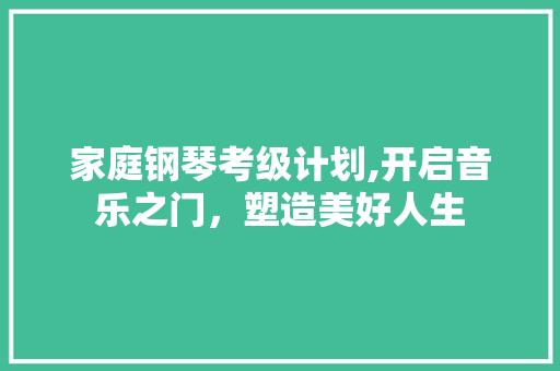 家庭钢琴考级计划,开启音乐之门，塑造美好人生